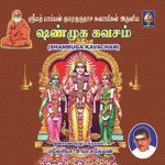 Malasiya S. Vasudevan Songs MP3 Download